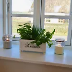 Oekohaeuschen 10 Min Von Der Ostsee, Eingezaeunter Garten, Kamin Und Sauna Vila *