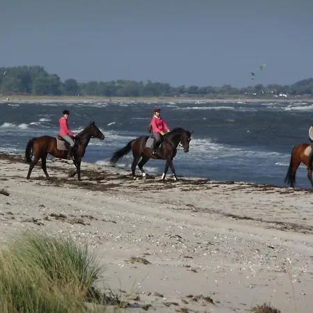 Ferienhaus Nahe Ostsee Mit Sauna, Kamin & Eingezaeuntem Garten,Hund Willkommen Vila