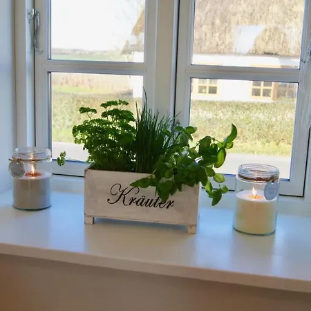 Nahe Ostsee Mit Sauna, Kamin & Eingezaeuntem Garten,hund Willkommen Villa